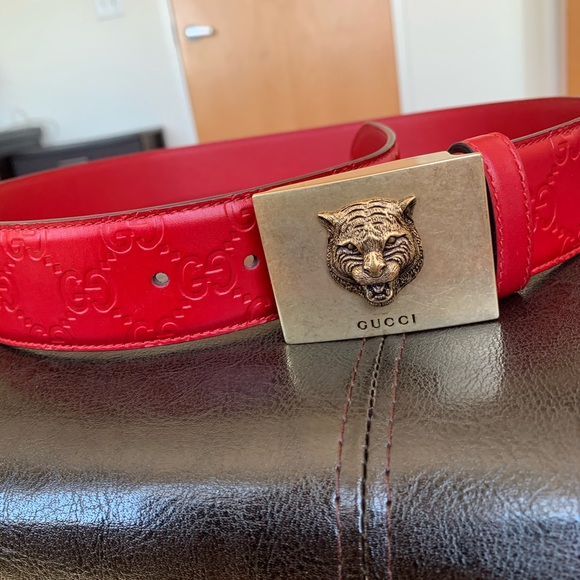 GUCCI GG SUPREME animaler Supreme Belt RARE! - Picture 3 of 7